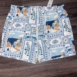 Abercrombie and Fitch 7in swim short